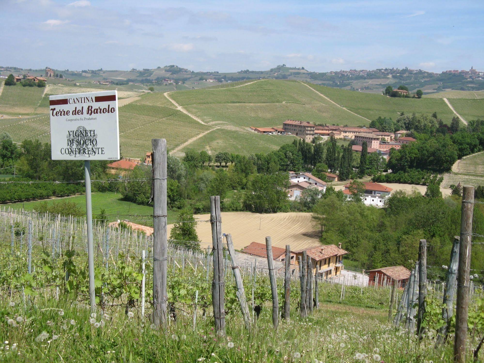 Residenza Albatros Villa Castiglione Falletto Buitenkant foto