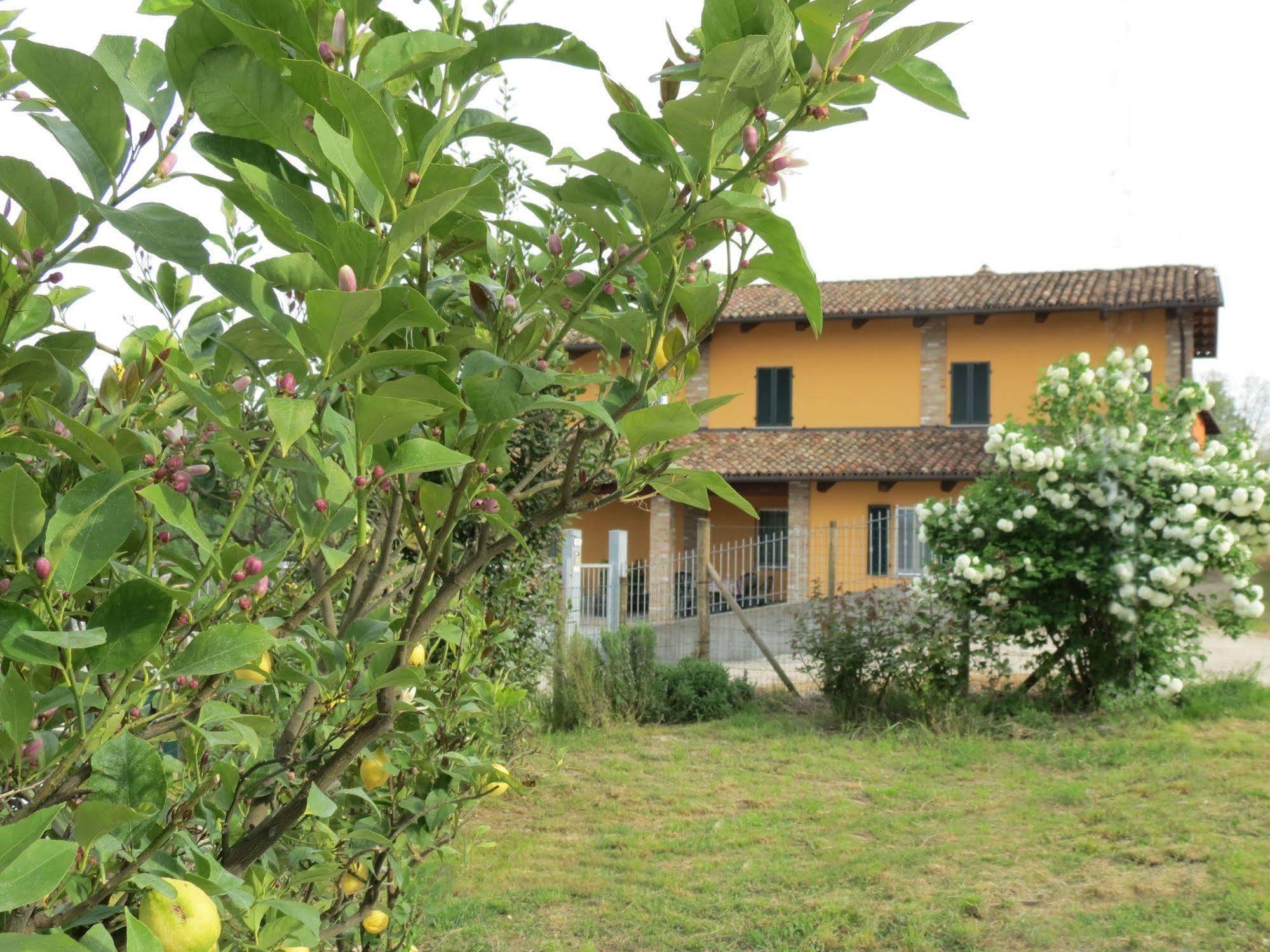 Residenza Albatros Villa Castiglione Falletto Buitenkant foto